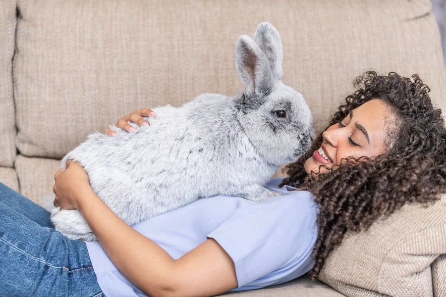are bunnies good pets