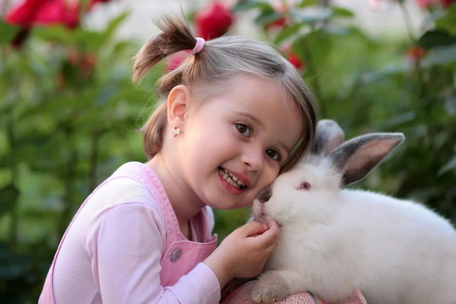 are bunnies good pets