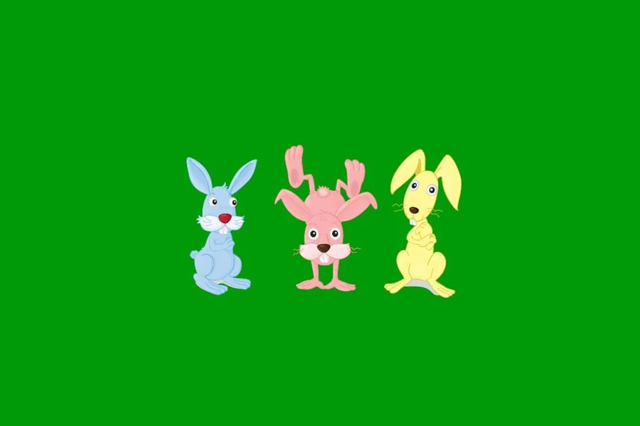 Bunny vs Rabbit vs Hare