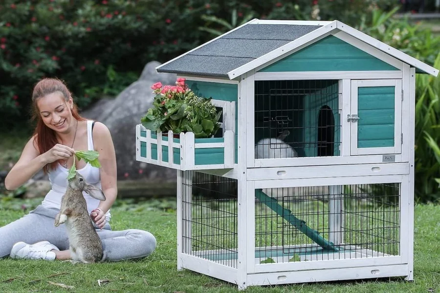 indoor rabbit hutch