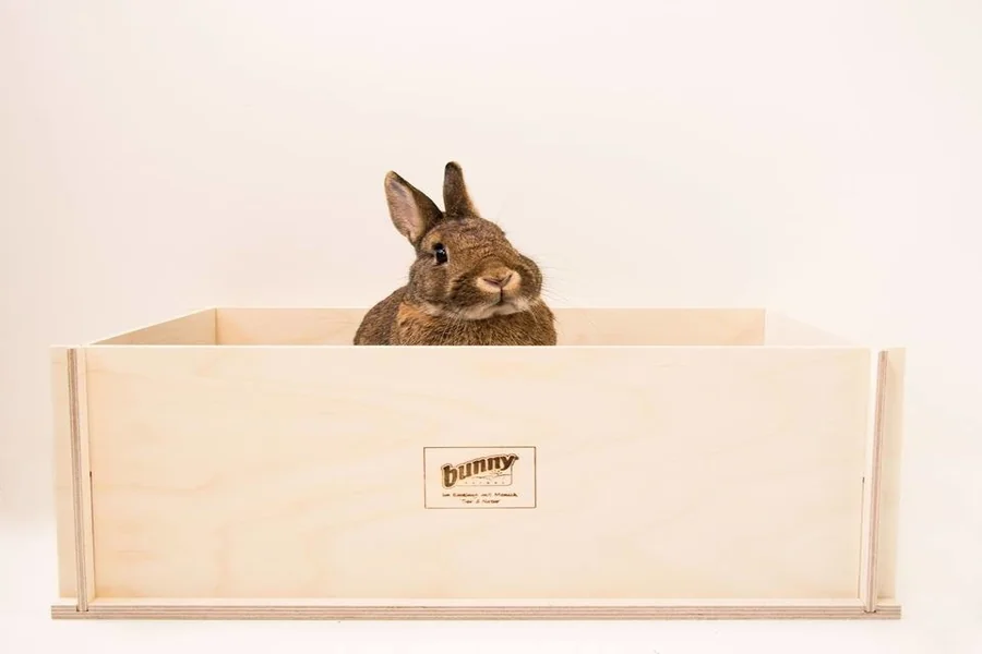 rabbit digging box