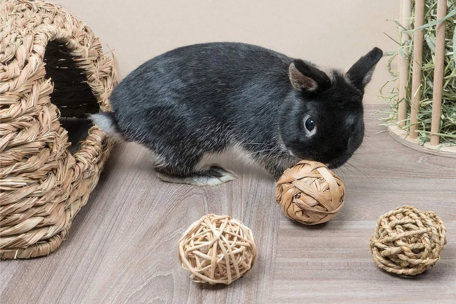 toys for rabbits