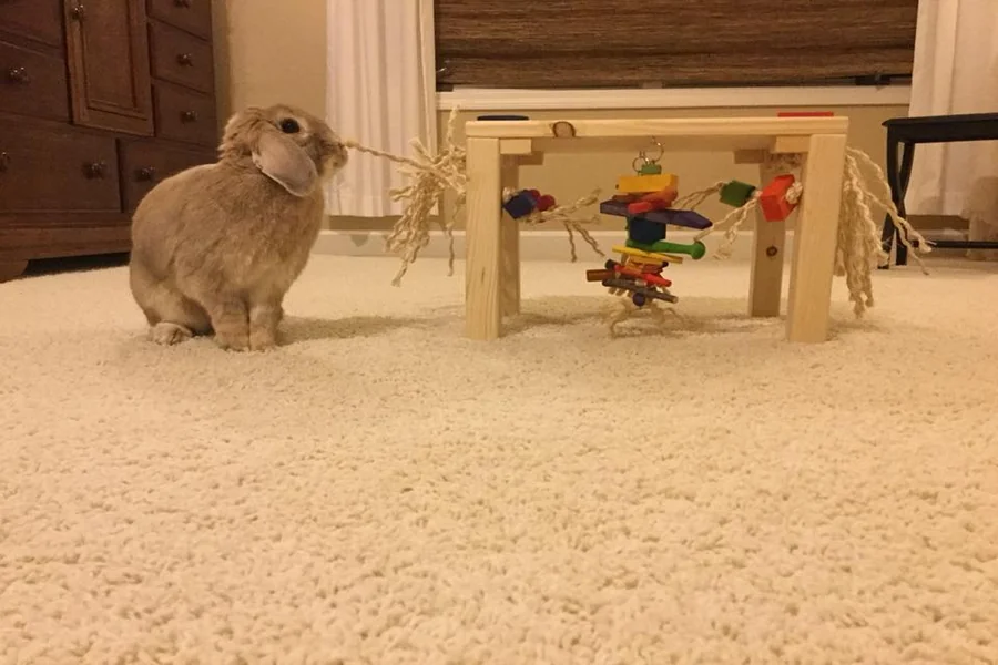 toys for rabbits