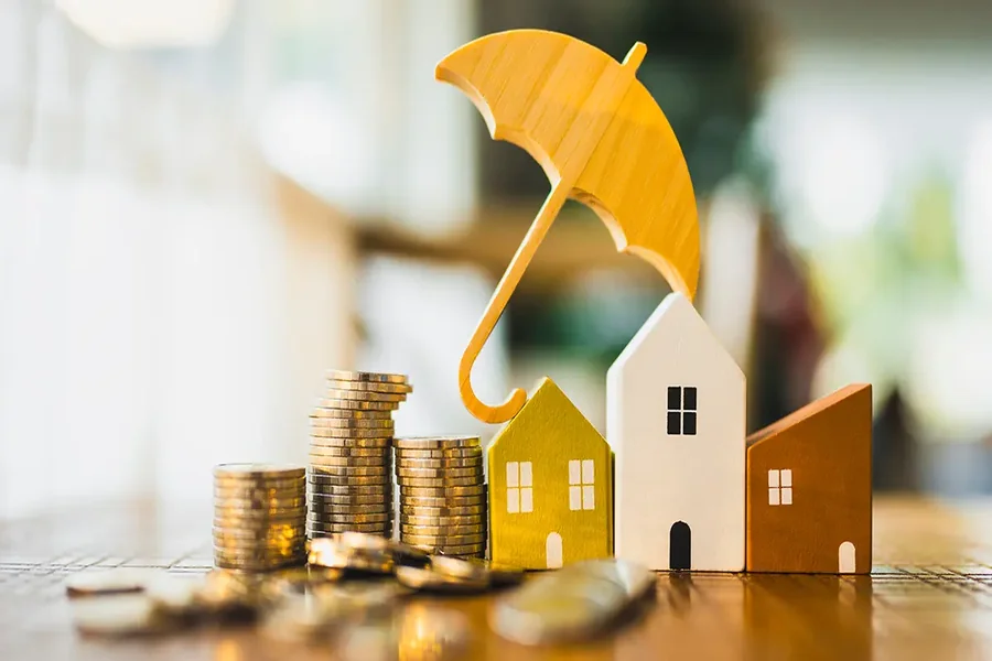 Domestic Asset