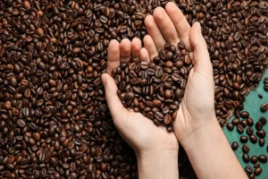 How to Achieve Consistency in Small Batch Coffee Roasting