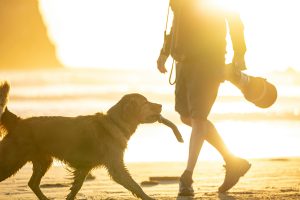 Understanding the Beautiful Human–Animal Connection