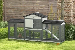 Best Rabbit Hutches: Choosing the Right Home for Your Bunny